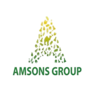 Amsons Group logo